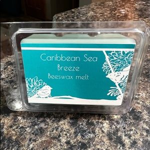 Beeswax based wax melts